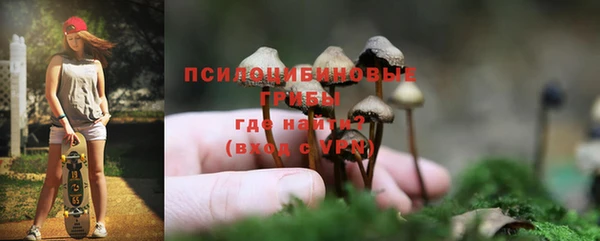 дмт Аркадак