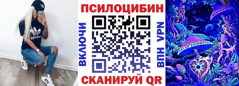 Псилоцибиновые грибы Psilocybe  дарнет шоп  Сунжа 